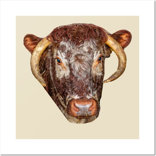 Long horn cow Wall Art by dalyndigaital2@gmail.com